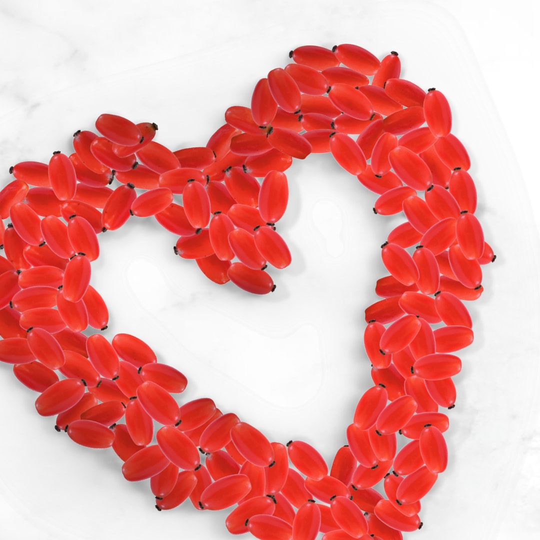 looking down on white surface with 200 or so bright red barberries outlining a heart shape 