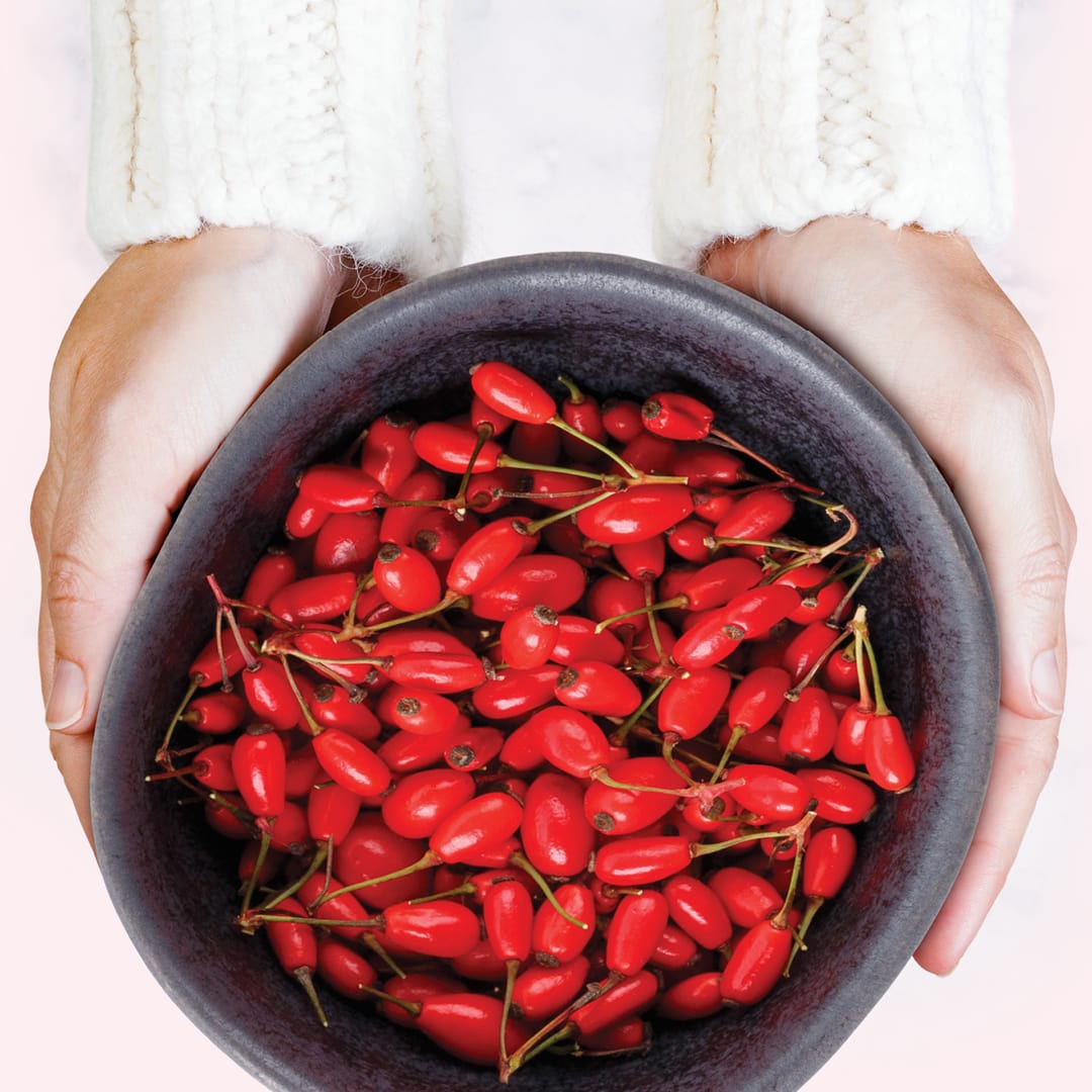 looking down on a woman's hand cupping a large black bowl of red barberries