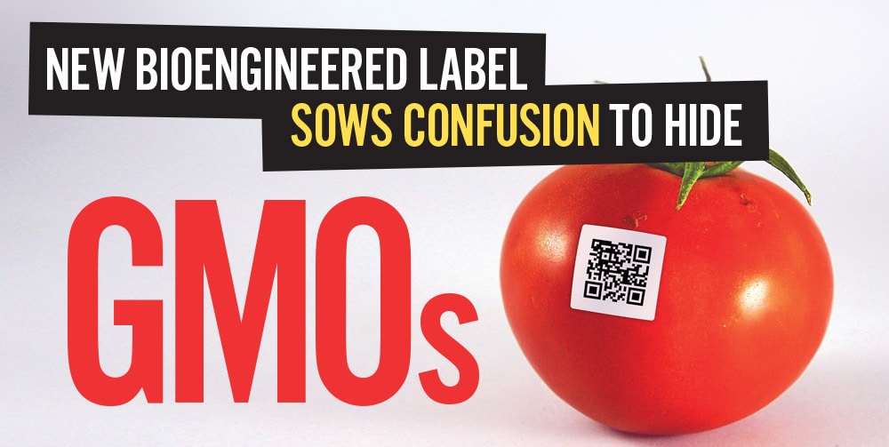 Tomato with a QR code sticker on it.