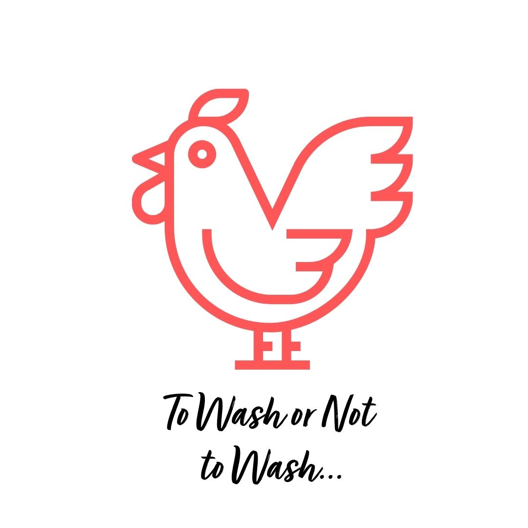 A red line drawing of a chicken with the script text below that reads " to wash or not to wash"