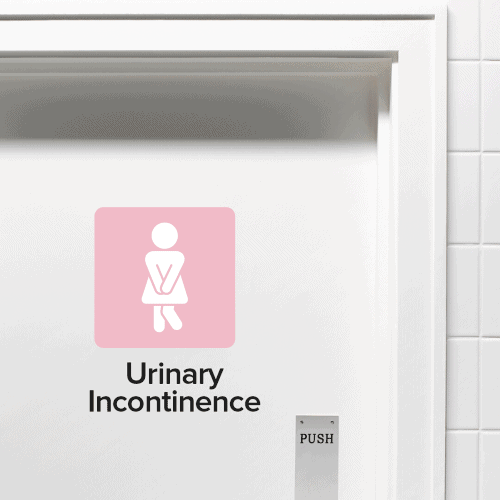 ladies washroom door but the icon of the woman has her legs crossed as if she really needs to hold it in