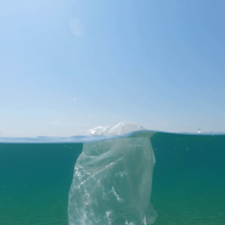 a plastic bag floating in the ocean