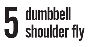 Dumbbell shoulder fly 