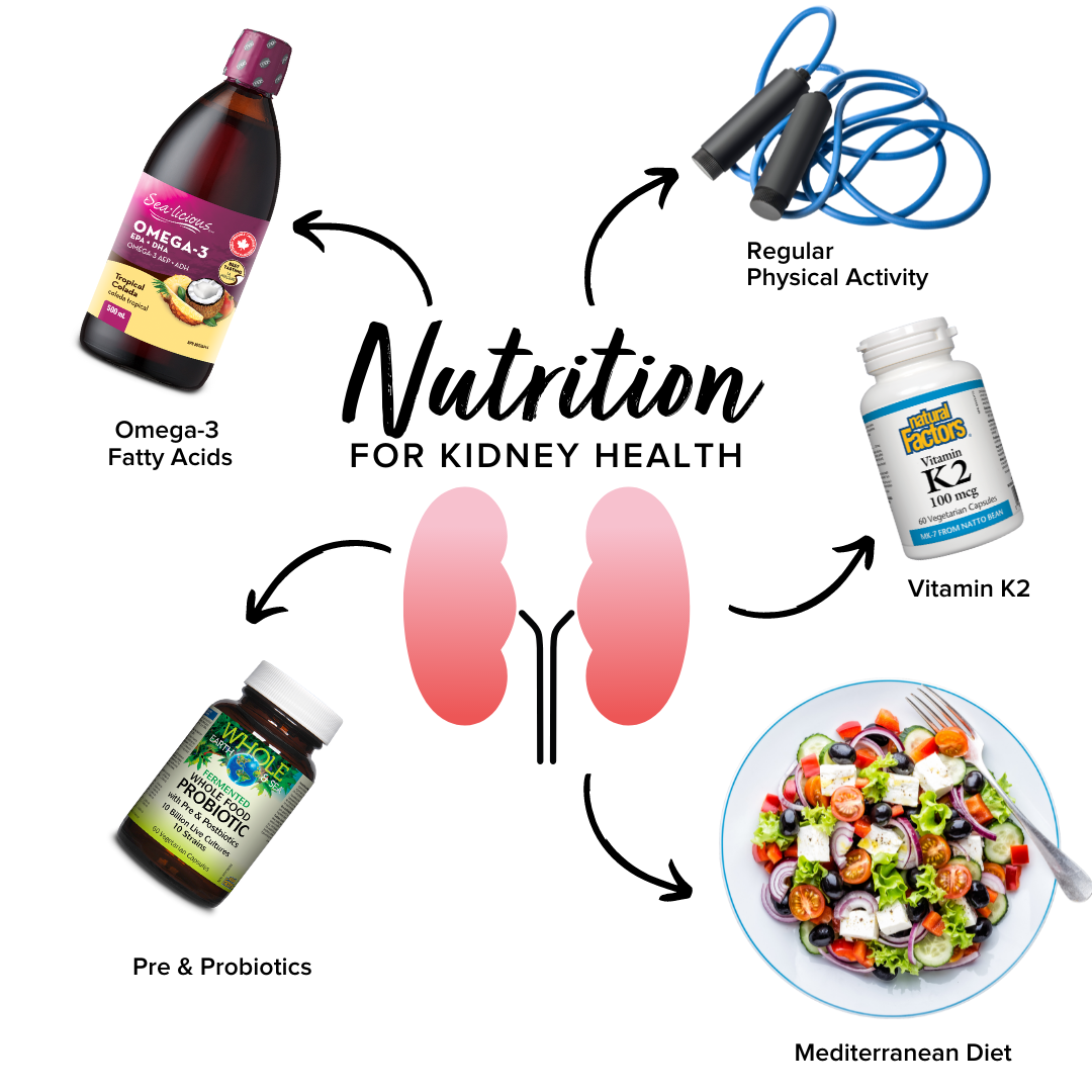 Text: Nutrition For Kidney Health written above a drawing of kidneys. There are arrows pointing out from them that show: Omega-3, Physical activity, Vit K2, Mediterranean diet and Pre & Probiotics 