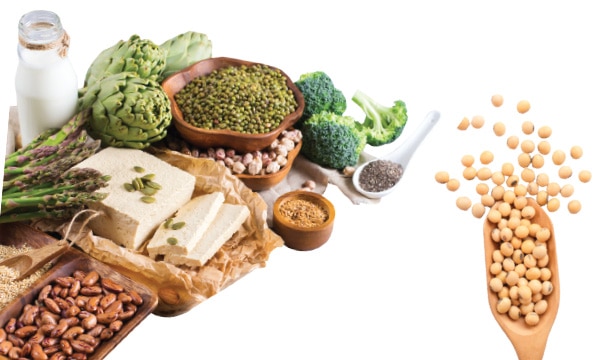 Phytoestrogens Throughout Life