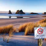 New Zealand to Extinguish Smoking