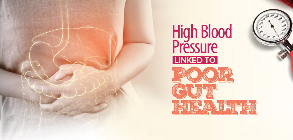 High blood pressure linked to poor gut health