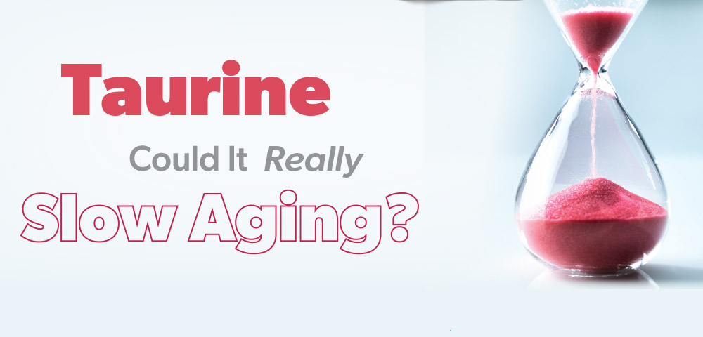 Taurine Could It Really Slow Aging?