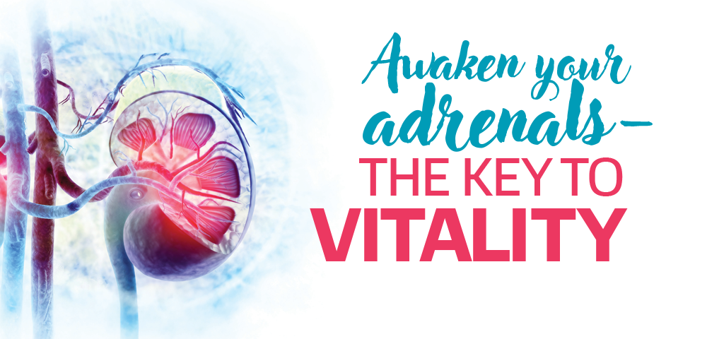 awaken_banner_1000x480 copy Three middle aged men jumping and very happy