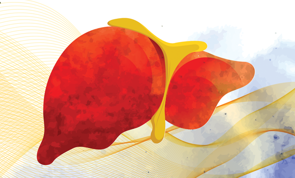 Liver Health is True Health