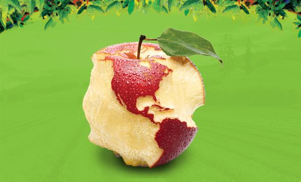Choose Organic – A Healthier Planet Starts on Your Plate