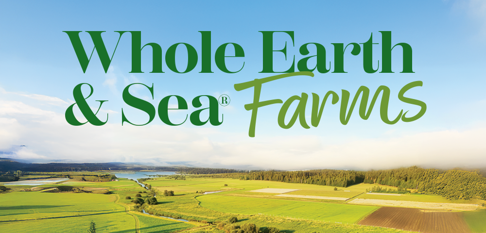 Three middle aged men  jumping and very happy