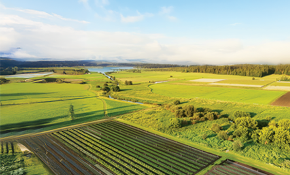 Whole Earth & Sea® Farms