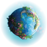 Digestive Cycles and the Earth’s Rhythms