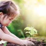 Hands in the Dirt… Hearts at Work