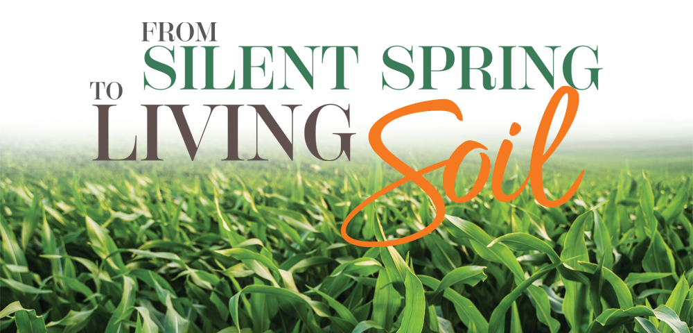 Three middle aged men  jumping and very happy