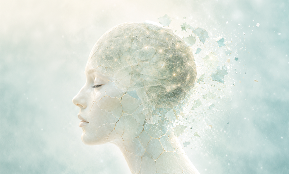 Boost  Brain  Power | Food Transparency