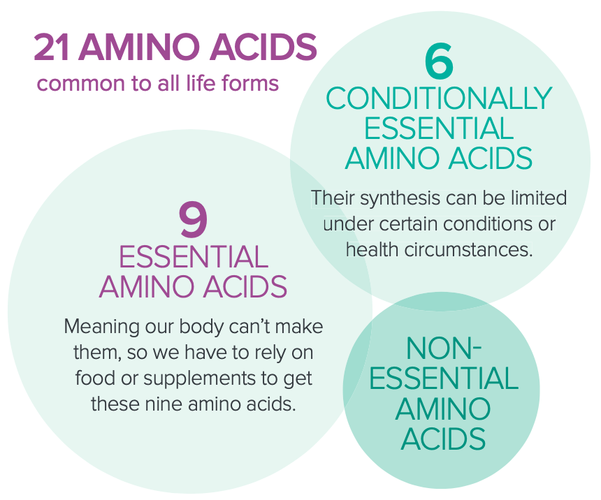 Amino Acids for Healthy Hair Skin and Nails - Women's Voice (US)