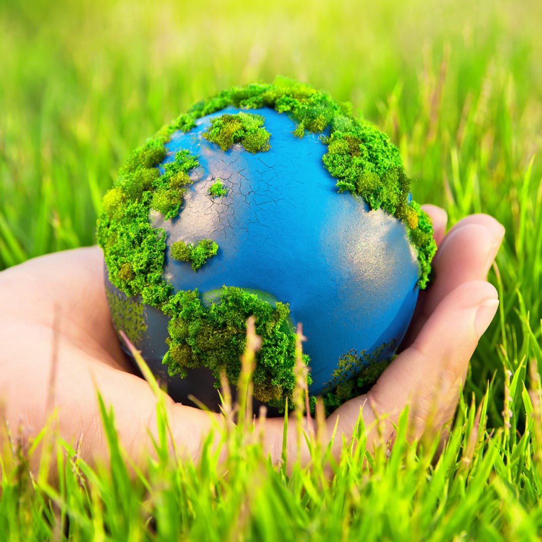 A hand resting in the grass holding a small globe of the earth