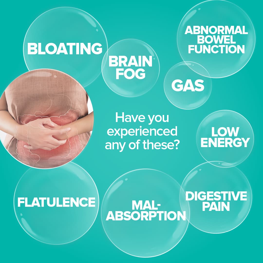 text in the center reads "Have you experienced any of these?" around that text are bubbles with words written in them: bloating, gas, brain fog, abnormal bowel function, low energy, digestive pain, mal-absorption, flatulence 