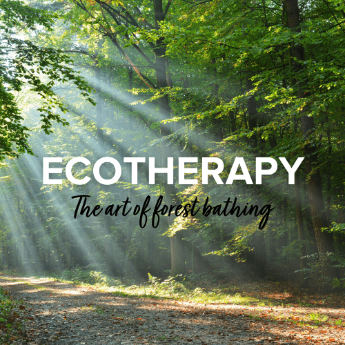 the sunlight streaming through the trees. a headline reading "Ecotherapy" is written in the center with "the art of forest bathing" written below