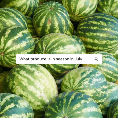 A pile of watermelon with a search bar over it reading "What produce is in season in July?"