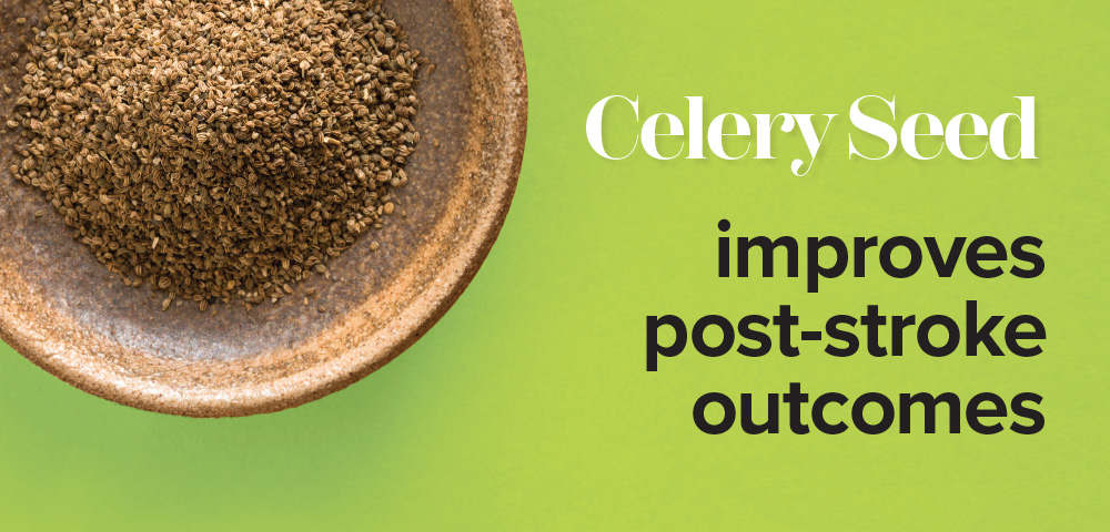 CelerySeed<br />
improves<br />
post-stroke<br />
outcomes