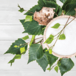 The Real Deal with Xylitol