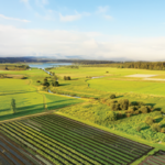 Nature, People, and Innovation – Creating a Sustainable Future