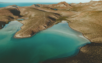 Nature, People, and Innovation – Creating a Sustainable Future